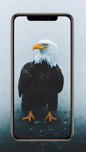 Birds Wallpaper - عکس برنامه موبایلی اندروید