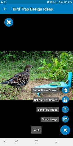 Bird Trap Design Ideas - عکس برنامه موبایلی اندروید
