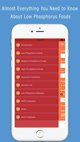 Phosphorus Foods Diet Guide - Image screenshot of android app