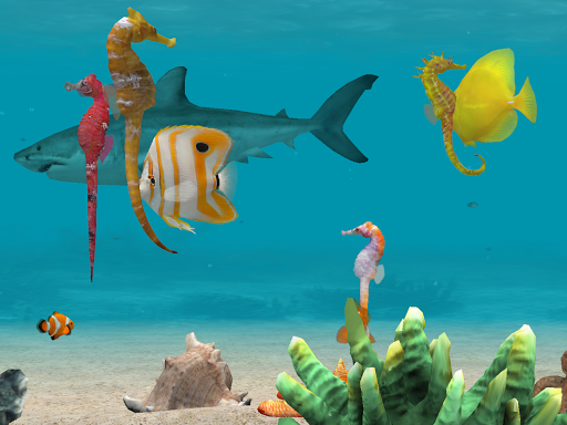 Seahorse 3D - Image screenshot of android app