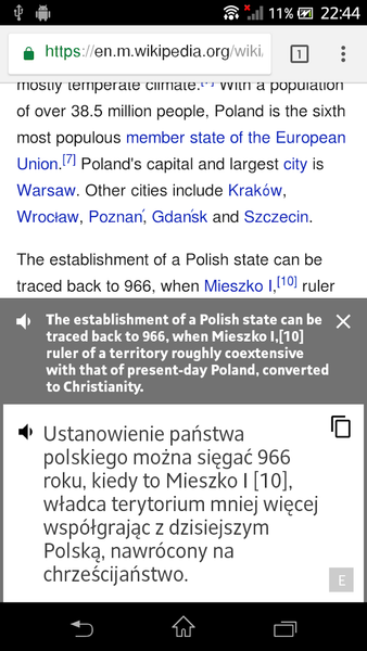 English Polish Translator - Image screenshot of android app