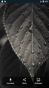 Black Wallpaper for Android - Download | Cafe Bazaar