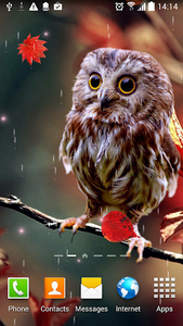 Autumn Live Wallpaper - Image screenshot of android app