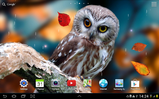 Autumn Live Wallpaper - Image screenshot of android app