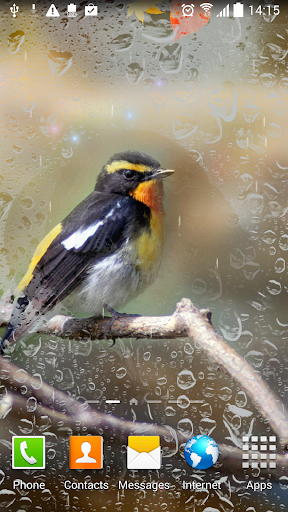 Autumn Live Wallpaper - Image screenshot of android app