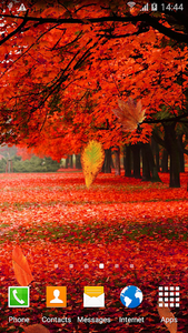 Autumn Forest Live Wallpaper - Image screenshot of android app