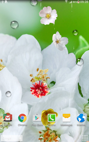 Blooming Trees Live Wallpaper - عکس برنامه موبایلی اندروید