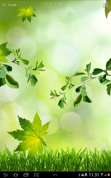 Leaves Live Wallpaper - Image screenshot of android app