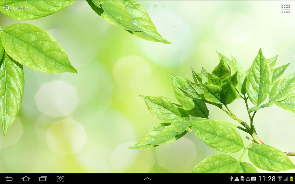 Leaves Live Wallpaper - Image screenshot of android app