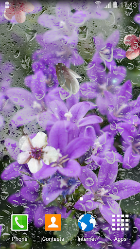 Lilac live wallpaper - عکس برنامه موبایلی اندروید