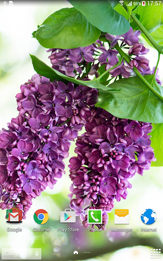 Lilac live wallpaper - عکس برنامه موبایلی اندروید