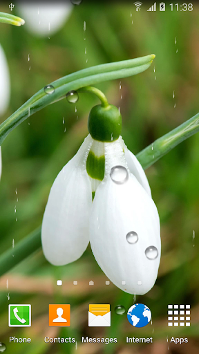 Macro Spring Live Wallpaper - عکس برنامه موبایلی اندروید