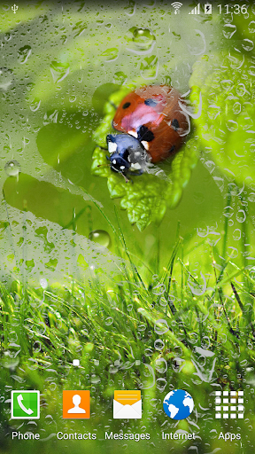 Macro Spring Live Wallpaper - Image screenshot of android app