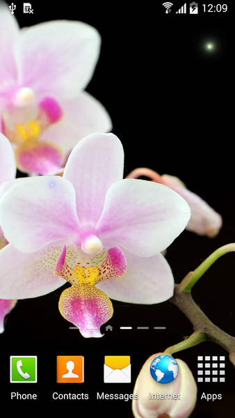 Orchids Wallpaper - Image screenshot of android app