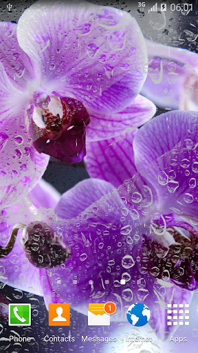 Orchids Live Wallpaper - عکس برنامه موبایلی اندروید
