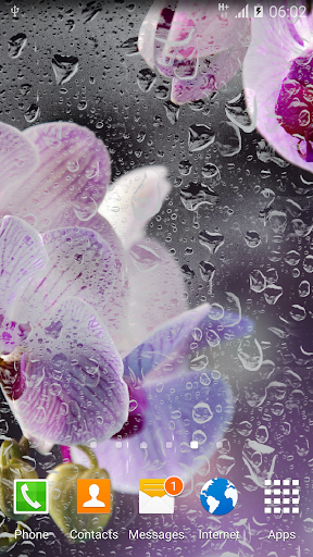 Orchids Live Wallpaper - Image screenshot of android app