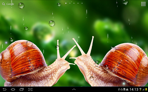 Rain Live Wallpaper - Image screenshot of android app