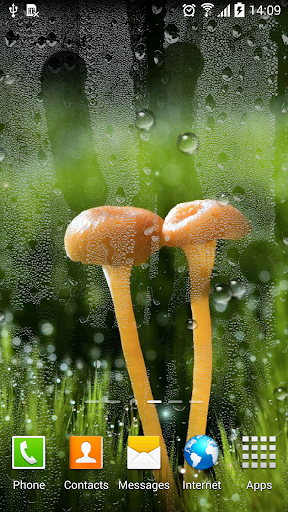 Rain Live Wallpaper - Image screenshot of android app