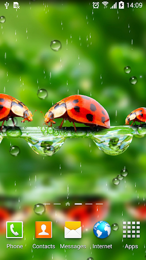 Rain Live Wallpaper - Image screenshot of android app