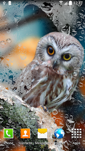 Rain Live Wallpaper - Image screenshot of android app