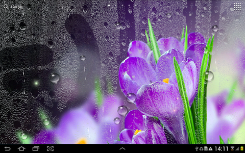 Rain Live Wallpaper for Android - Download | Cafe Bazaar Rain Live Wallpaper for Android - Download | Cafe Bazaar