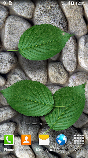 Stones in Water Live Wallpaper - Image screenshot of android app