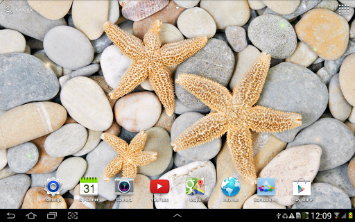 Stones in Water Live Wallpaper - Image screenshot of android app