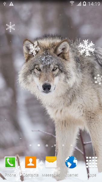 Wolf Live Wallpaper - عکس برنامه موبایلی اندروید