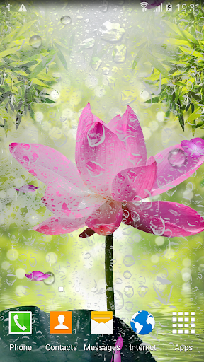 Garden Zen Live Wallpaper - عکس برنامه موبایلی اندروید