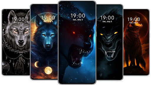 black wolf wallpaper hd