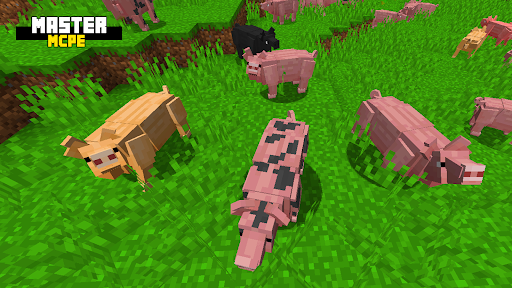 Master for Minecraft PE - MCPE - عکس برنامه موبایلی اندروید