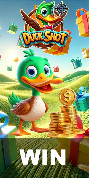 Duck Shot - Collect Gifts - عکس بازی موبایلی اندروید