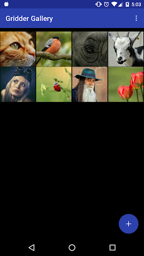 Painter's Grid - Image screenshot of android app