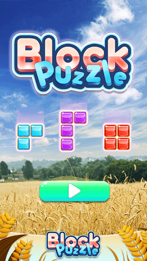 Block Puzzle - Endless Test - Image screenshot of android app