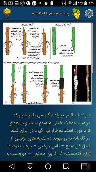 پیوند درختان - عکس برنامه موبایلی اندروید