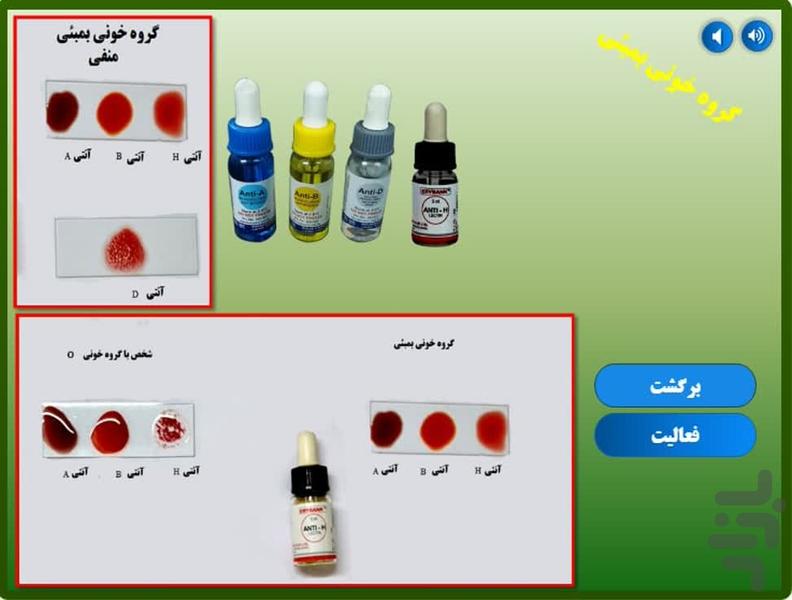 فعالیت تعاملی تعیین گروه خونی - عکس برنامه موبایلی اندروید