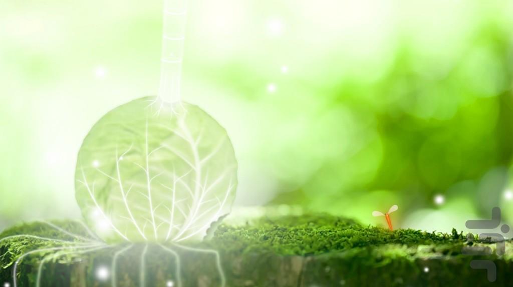 Doonaminula (Demo version) - Gameplay image of android game