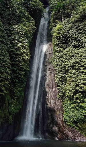 Waterfall Wallpapers - Image screenshot of android app