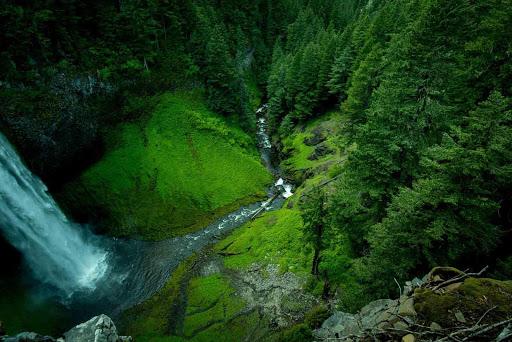 Waterfall Wallpapers - Image screenshot of android app