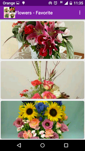1000 flower arrangements - Image screenshot of android app