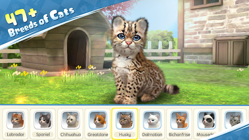 Kitten Cat jogos Pet simulador na App Store