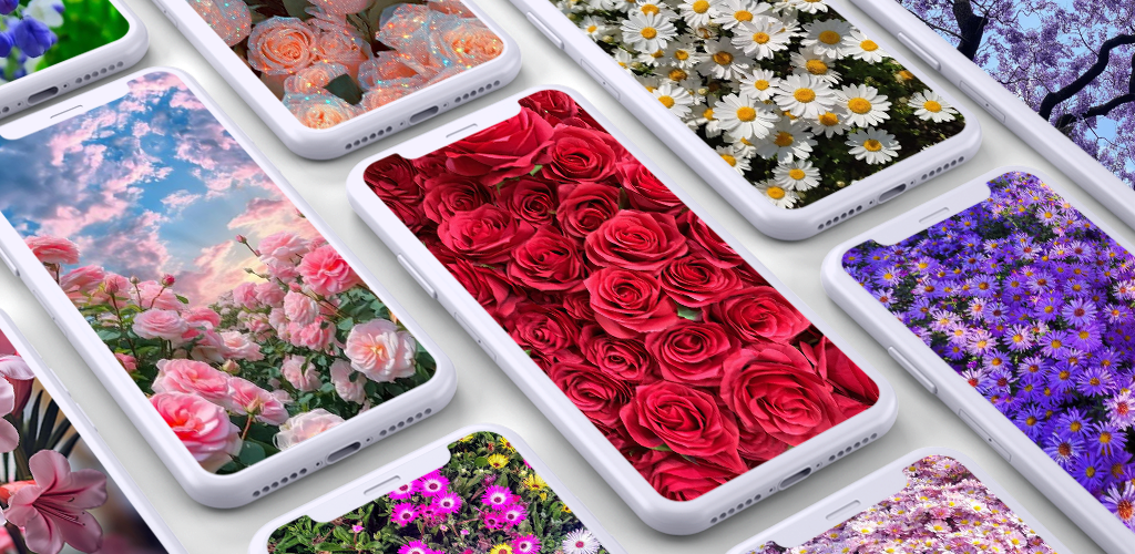 Flowers wallpapers - عکس برنامه موبایلی اندروید
