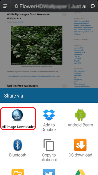 All Image Downloader - Search - Image screenshot of android app