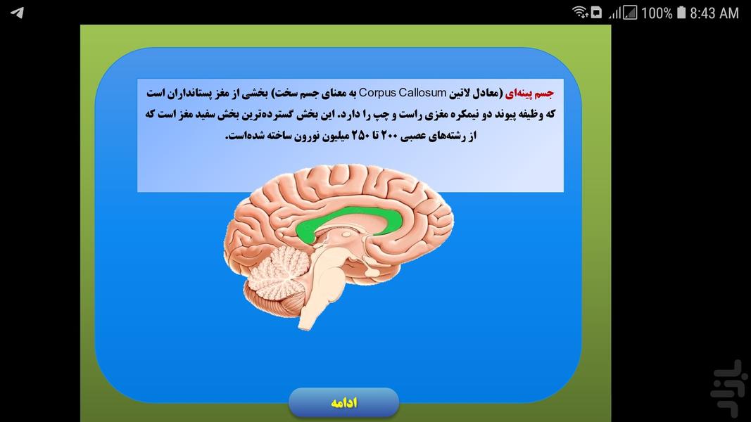 مولاژ مغز - عکس برنامه موبایلی اندروید