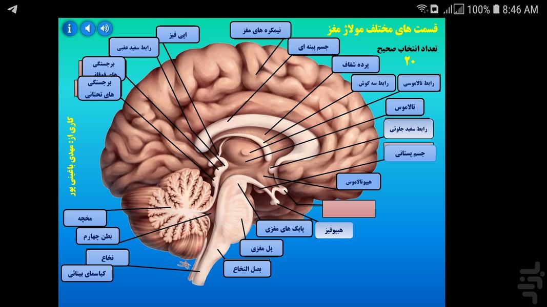 مولاژ مغز - عکس برنامه موبایلی اندروید