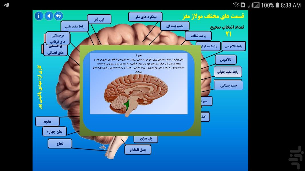 مولاژ مغز - عکس برنامه موبایلی اندروید