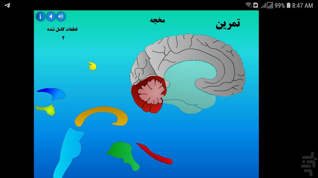 مولاژ مغز - عکس برنامه موبایلی اندروید