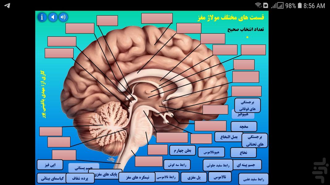 مولاژ مغز - عکس برنامه موبایلی اندروید