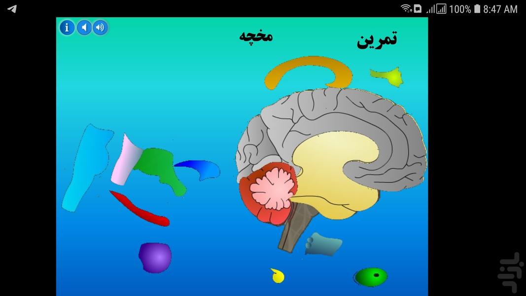 مولاژ مغز - عکس برنامه موبایلی اندروید