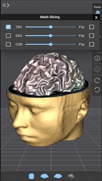 Brain Tutor 3D - عکس برنامه موبایلی اندروید